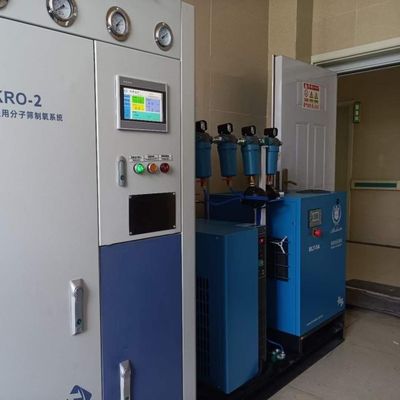 380V Stainless Steel 40 GP Container Small Onsite PSA Based Oxygen Plant
