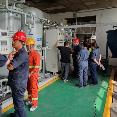 High Purity Hydrogen Removed Nitrogen Gas Generation Purifier With ASME